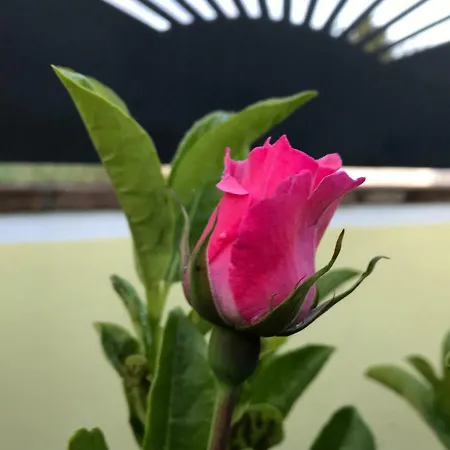 Maria Rosa Lägenhet Marina Di Pisticci